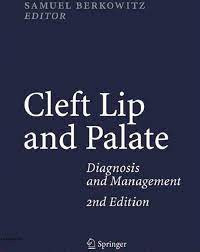 Image of Cleft Lip and Palate