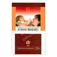 Image of Pedoman Praktis Safe Motherhood Asuhan Ibu & Bayi